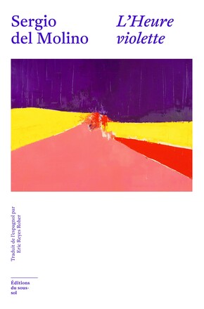 SOUS-SOL - L'HEURE VIOLETTE - SERGIO DEL MOLINO - COUVERTURE.jpg