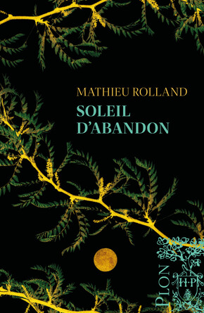 Soleil d'abandon