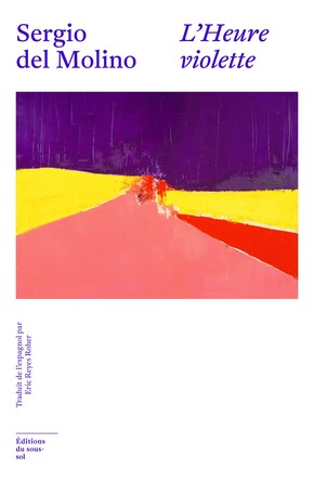 SOUS-SOL - L'HEURE VIOLETTE - SERGIO DEL MOLINO - COUVERTURE.jpg